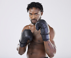 Image showing Fitness, boxer portrait and black man with gloves to fight for sports training and workout in studio. Strong athlete person for exercise, boxing performance and mma competition with power and energy