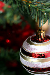 Image showing Christmas ornaments on tree.