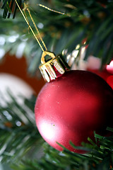 Image showing Christmas ornaments on tree.