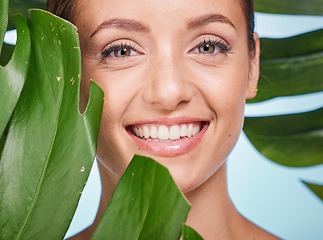 Image showing Portrait, skincare and palm leaf with a model woman posing in studio on blue background for beauty. Face, skin or nature with an attractive young female standing behind a plant for natural treatment