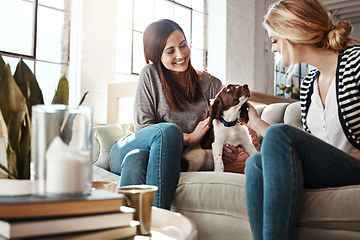 Image showing Women, relax pet care and dog on sofa in living room for calm, peace and quality time with pets. Puppy, lifestyle happiness and animal care in home with female owners for love or support on couch