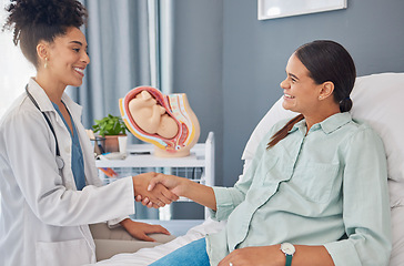 Image showing Pregnant patient, doctor or gynecologist shaking hands for welcome, thank you and hello greeting Pregnancy maternity consultation, gynecology or woman for medical, baby healthcare or hospital support