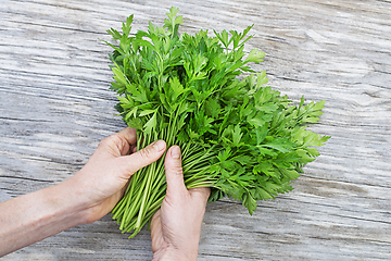 Image showing Parsley