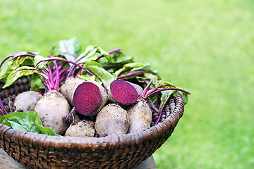 Image showing Beetroot