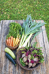 Image showing Vegetable garden