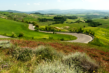 Image showing View of valley with hills and road, Tuscany. Italy