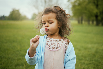 Image showing Nature, relax and child with blowing a dandelion for a wish, playing and exploring on a field in Norway. Spring, playful and girl with a flower plant in a park for calm, peace and outdoor adventure