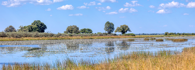 Image showing typical African river landscape, Bwabwata, Namibia