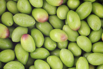 Image showing Raw Olives
