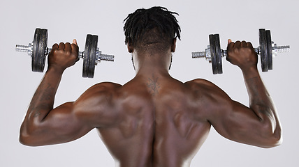 Image showing Dumbbell, strong muscle and fitness of a black man doing power workout in studio. Back of sexy bodybuilder person doing exercise or training with weights for health, wellness and body growth progress