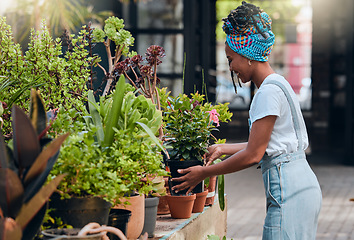 Image showing Business owner, black woman and plant shop for garden, nursery or greenhouse retail. Entrepreneur working in green startup store or market for sustainability, environment and gardening growth outdoor