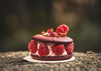 Image showing Ispahan macaron cake