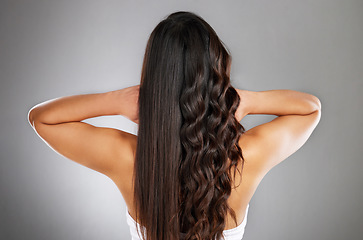Image showing Woman back, curly or straight hairstyle on gray studio background for keratin treatment marketing, waves product advertising or grooming. Model, brunette color or healthy growth texture in wellness