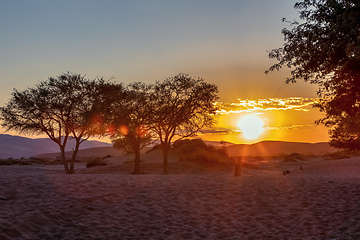 Image showing sunrise in Hidden Vlei, desert in Namibia, Africa