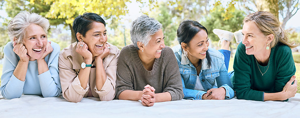 Image showing Senior women, friends and relax on picnic in park for bonding, wellness and rest on blanket. Happiness, comic and group of elderly people in retirement talking, laughing and enjoying time in nature.