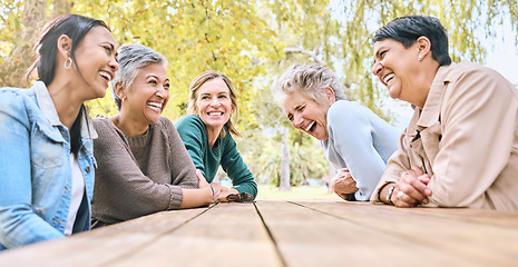 Image showing Park table, friends and women laughing at funny joke, crazy meme or comedy outdoors. Comic, happy and group of senior females with humor bonding, talking and enjoying quality time together in nature.