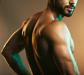 Image showing Man, body or back muscles on studio background with creative light aesthetic, training goals or workout progress. Zoom, skin or bodybuilder fitness model for healthcare wellness or exercise strength