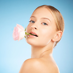 Image showing Woman, cosmetic studio and rose in mouth for beauty, spring or natural aesthetic by blue background. Healthy model, flower and portrait for organic cosmetics, skin glow and facial makeup for wellness