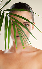 Image showing Woman, face and natural beauty with leaf for skincare, cosmetics or healthy facial treatment. Portrait of beautiful female with organic plant, leafs or satisfaction for self love, self care or skin