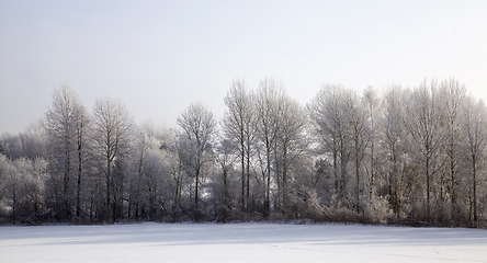 Image showing winter time of the year