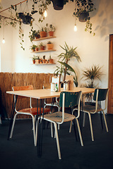 Image showing Cafe, empty space or restaurant design interior with modern table, plant and chairs during the day. Luxury, open space or coffee shop with furniture for fine dinning, lunch or coffee break with decor