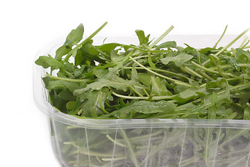 Image showing Rucola salad