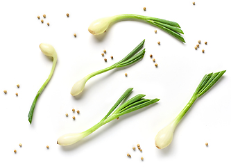 Image showing green onion and pepper