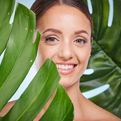 Image showing Portrait, skincare and palm leaf with a model woman posing in studio on blue background for beauty. Face, skin or nature with an attractive young female standing behind a plant for natural treatment