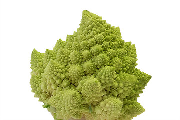 Image showing Romanesco_12