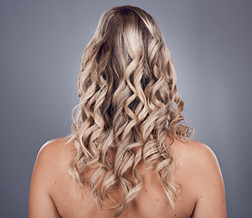 Image showing Hair, beauty and style with a model woman in studio on a gray background to promote keratin treatment. Curly hairstyle, haircare and back with a female posing for natural care for strong roots