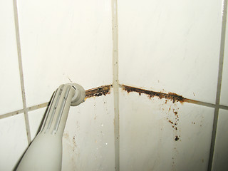 Image showing Mess in the shower