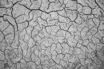 Image showing Texture of dry cracked soil