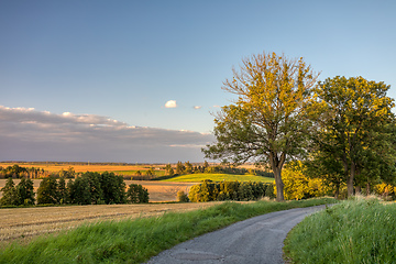 Image showing Summer landscape Vysocina Czech Republic