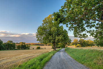 Image showing Summer landscape Vysocina Czech Republic