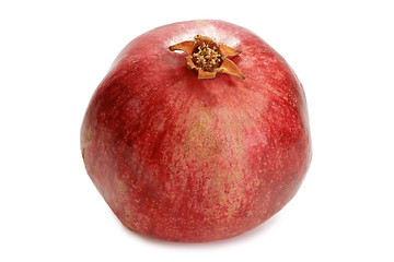 Image showing Pomegranate_1