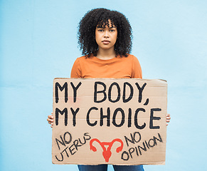 Image showing Feminism, protest and portrait of a woman with a sign for human rights, abortion or political opinion. Strong, march and female from Mexico with a feminist board for change, empowerment and equality.