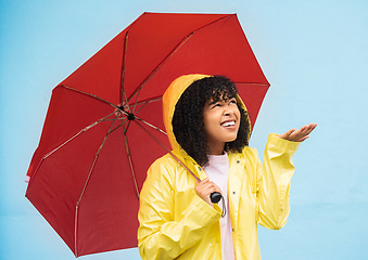 Image showing Black woman, umbrella or hand checking for rain on isolated blue background in Brazil city. Person, anxiety or student in weather water drops or rainfall with curious or wondering facial expression