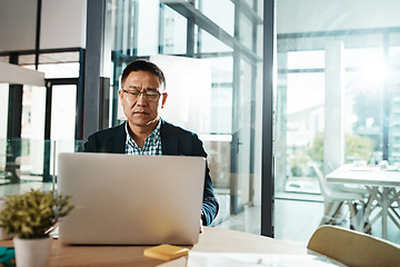 Image showing Office laptop, typing and senior man reading feedback review of social media, customer experience or ecommerce website. Data analytics, infographic or Asian marketing worker analysis of online survey