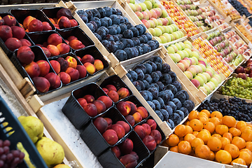 Image showing Assortment of fruits at market
