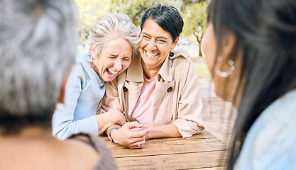 Image showing Women smile, friends and in park for reunion, bonding and conversation outdoor fun, summer or embrace. Females, ladies laughing or in nature to relax, talking or friendship with sunshine or happiness