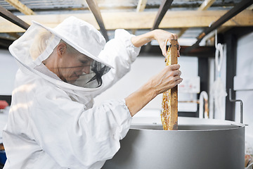 Image showing Beekeeping, process and beekeeper with honeycomb manufacturing, sustainability and factory storage. Warehouse, agriculture and mature worker with a machine for the production of honey in a plant