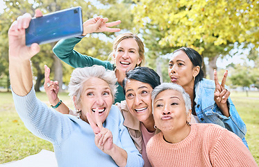 Image showing Senior people, friends and phone for selfie at the park together with smile and peace sign in the outdoors. Happy group of silly elderly women smiling for photo looking at smartphone in nature