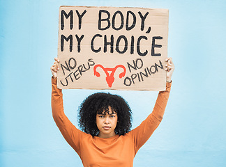 Image showing Feminism, protest and portrait of a woman with a sign for human rights, abortion or political opinion. Strong, march and female from Mexico with a feminist board for change, empowerment and equality.