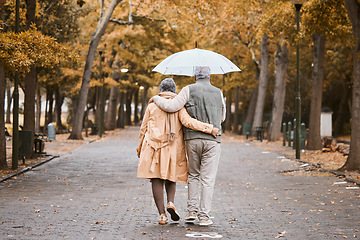 Image showing Elderly, couple walk in park with umbrella and fresh air, outdoor in nature in fall for exercise and retirement together. Hug, love and care with trees, senior man and woman in New York back view.