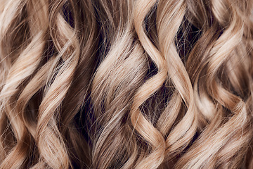 Image showing Beauty, hair care and hair closeup of woman in studio after salon treatment for growth, texture or balayage. Wellness, wavy hair style and macro of female model with long, healthy and beautiful hair.