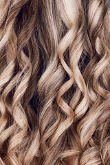 Image showing Beauty, hair care and hair closeup of woman in studio after salon treatment for growth, texture or balayage. Wellness, wavy hair style and macro of female model with long, healthy and beautiful hair.