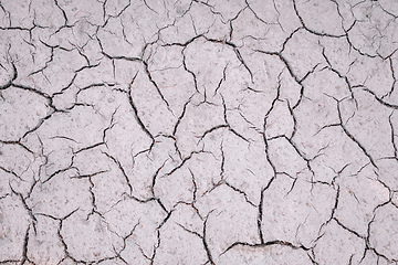 Image showing Texture of dry cracked soil