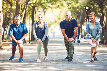 Image showing Senior friends, stretching exercise and park with smile, wellness and self care in summer sunshine. Elderly group of people, fitness and healthy workout with motivation for health, nature or teamwork