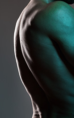 Image showing Man, body or muscles on dark studio background and blue light aesthetic, fitness goals or workout progress. Zoom, back skin or bodybuilder model and exercise, training or healthcare wellness strength