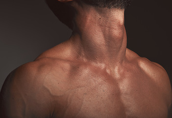 Image showing Man, body or neck muscles on dark studio background and exercise aesthetic, workout goals or intense training progress. Zoom, skin or bodybuilder fitness model with blood veins or healthcare wellness